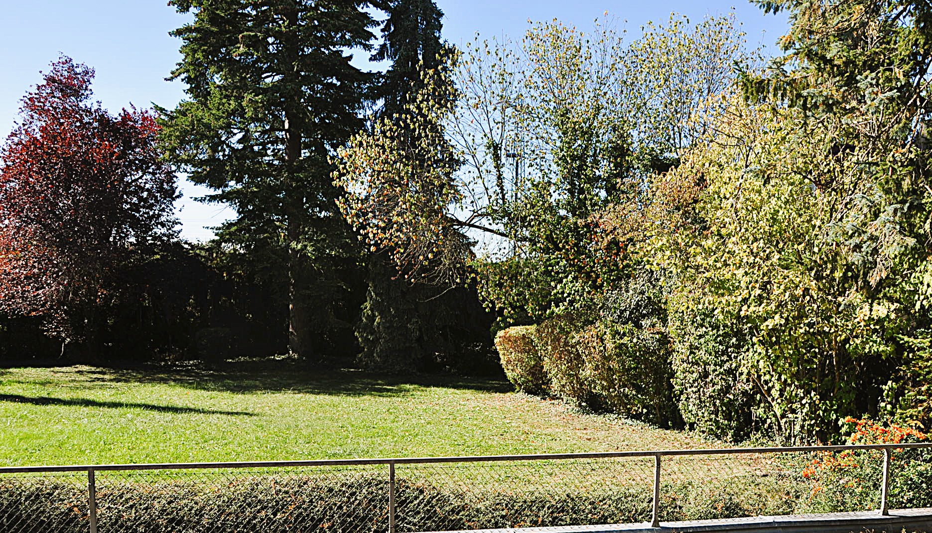 Blick vom Balkon in den Park
